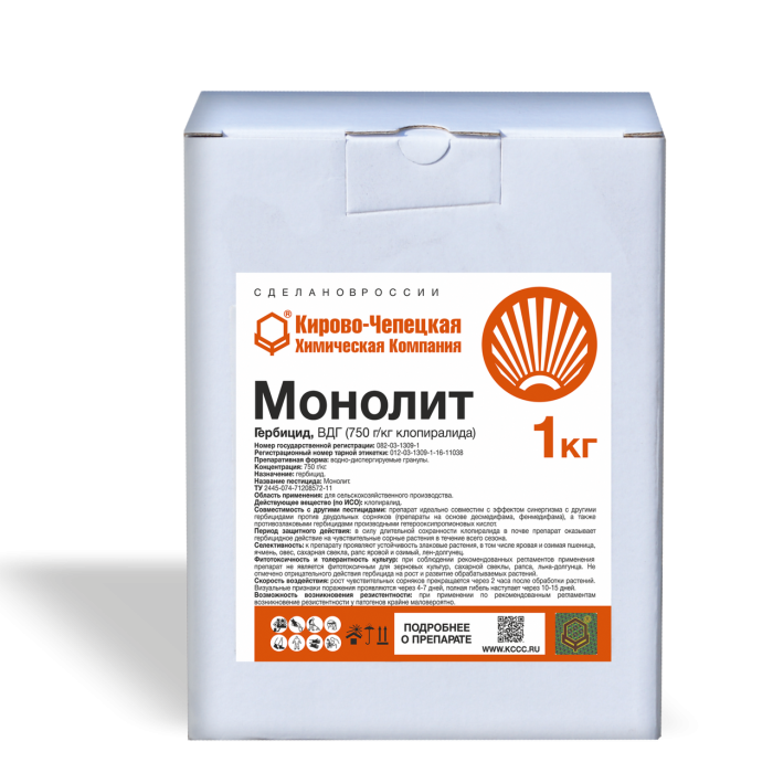 Монолит ВДГ